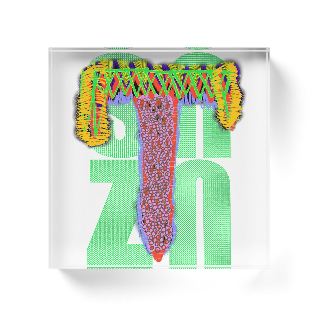 snzn_zan3_rogo2025