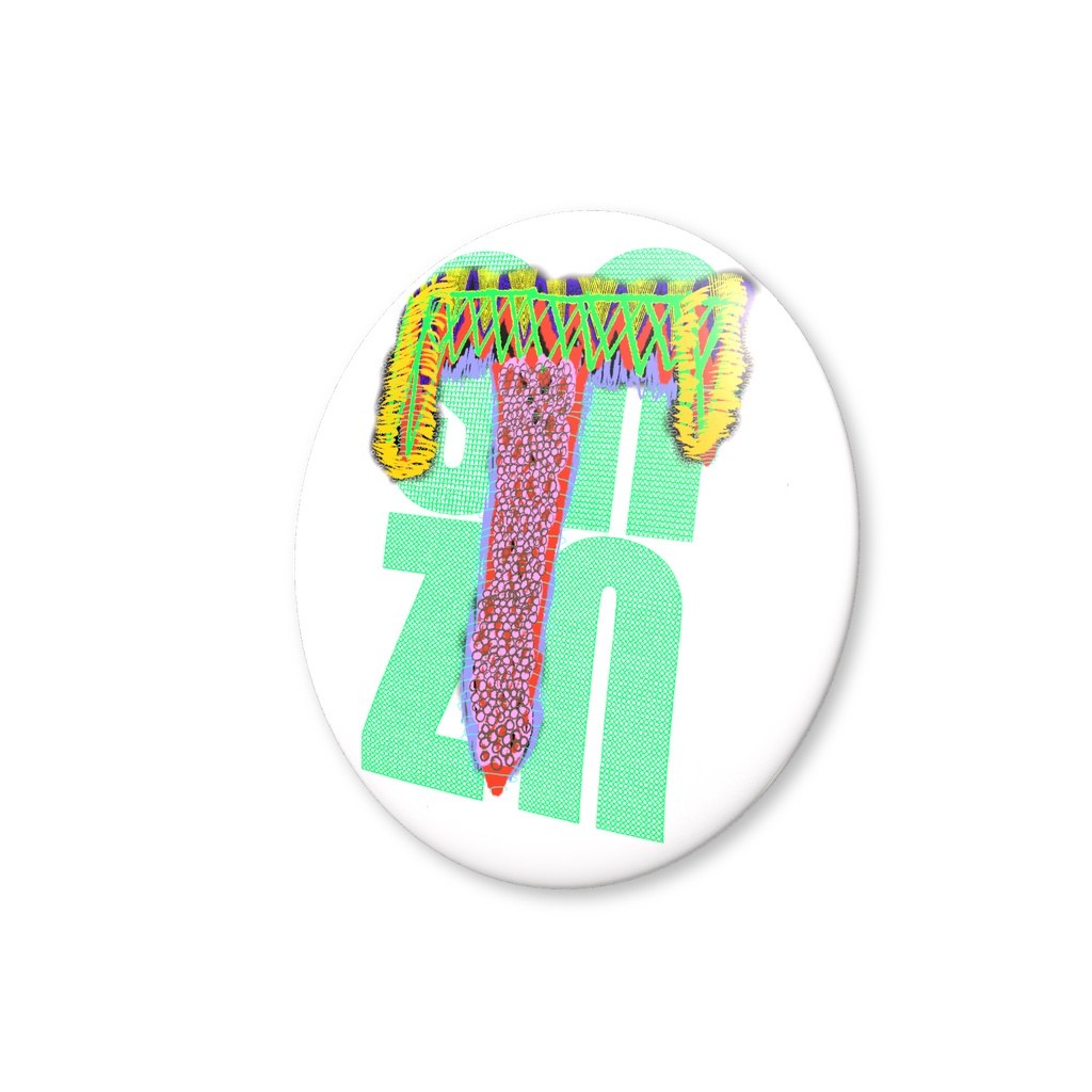 snzn_zan3_rogo2025