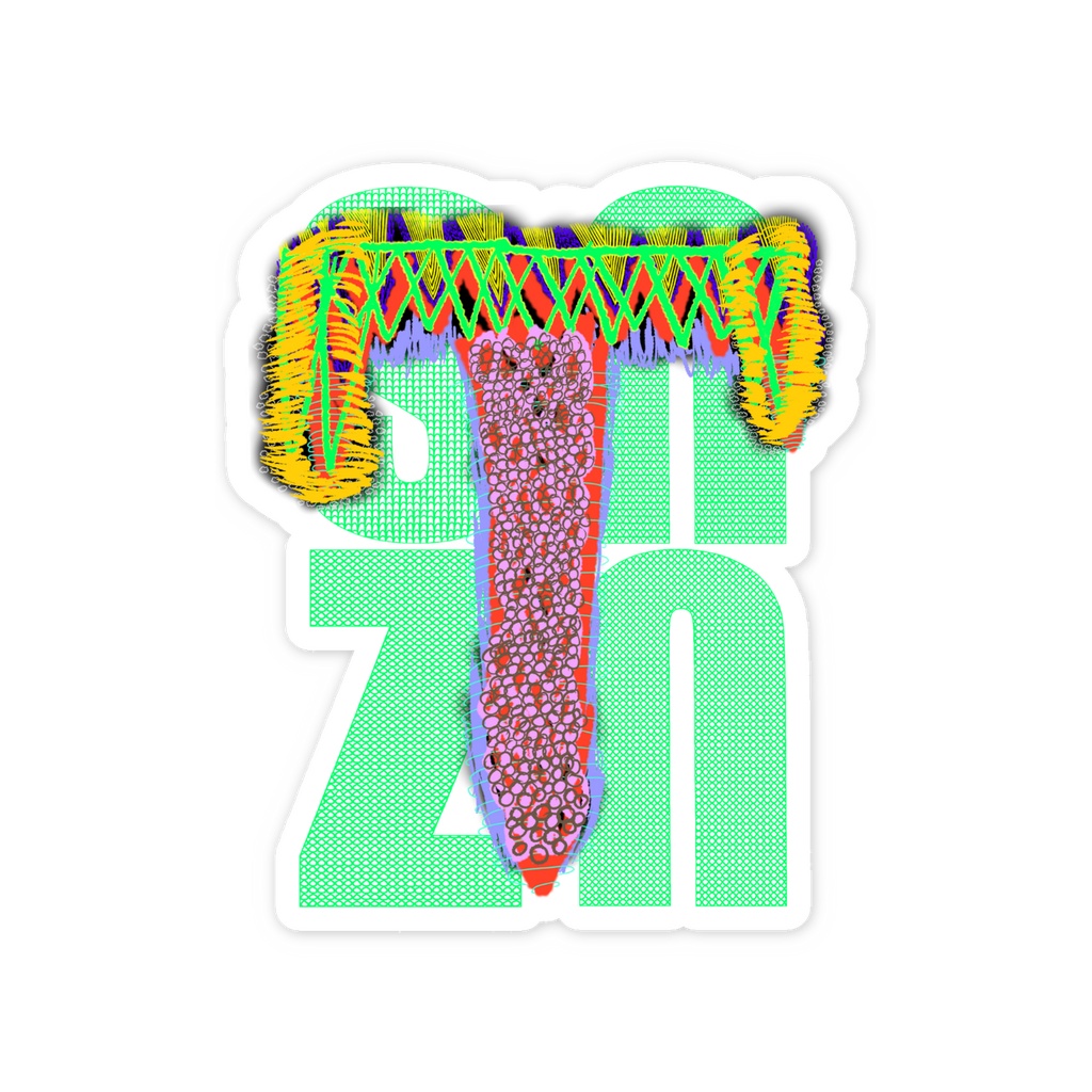 snzn_zan3_rogo2025