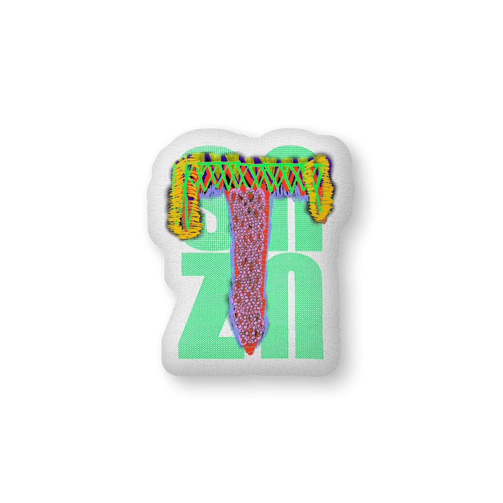 snzn_zan3_rogo2025