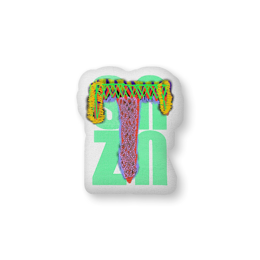 snzn_zan3_rogo2025