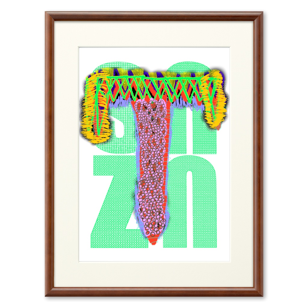 snzn_zan3_rogo2025