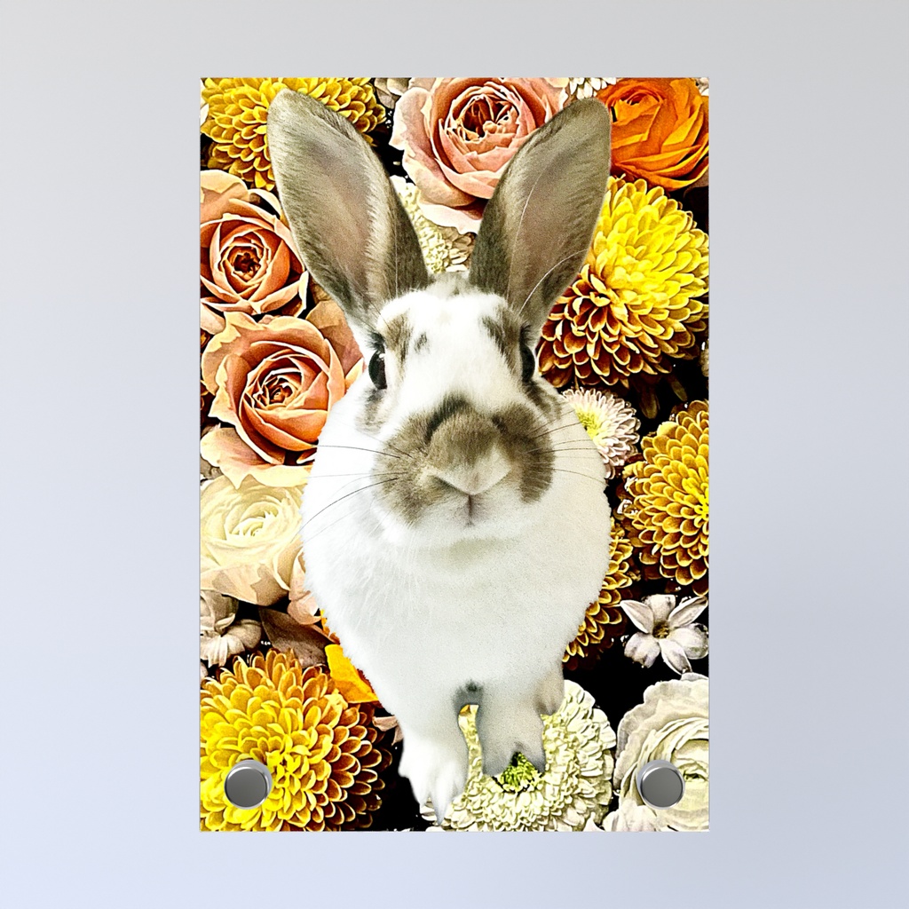 snzn_rabbit_20250714