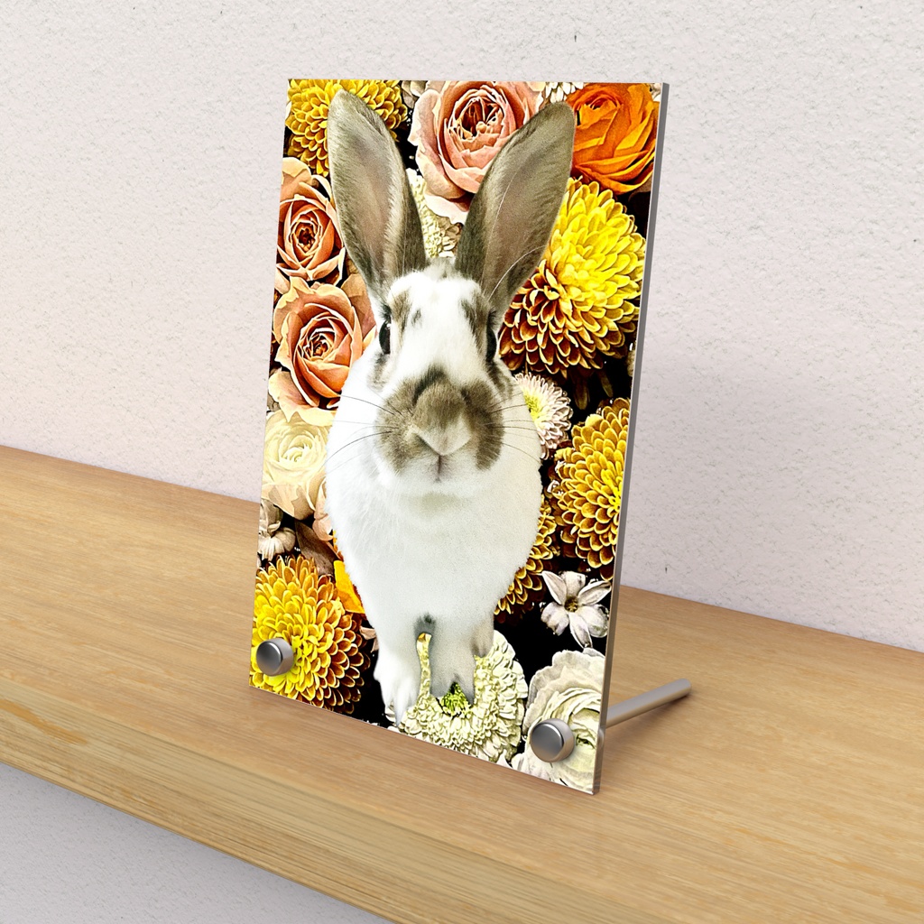 snzn_rabbit_20250714