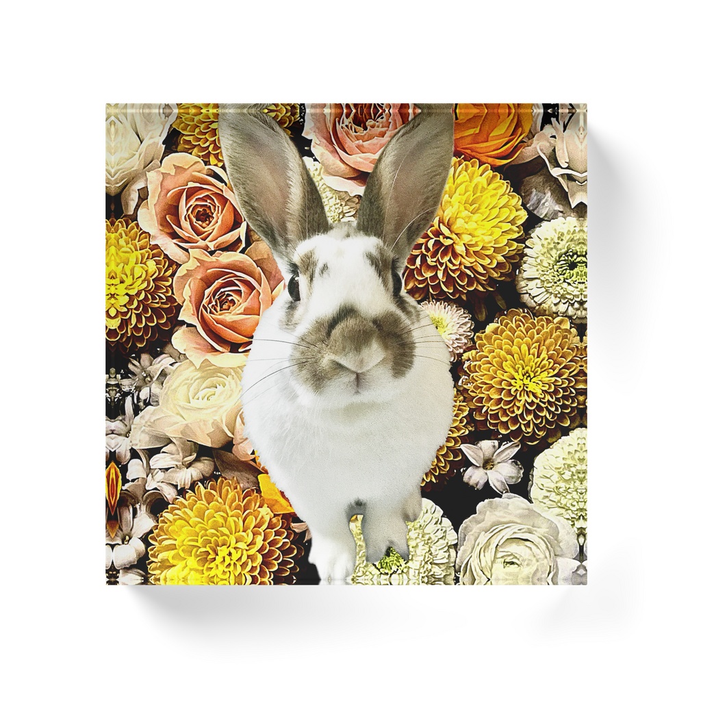 snzn_rabbit_20250714