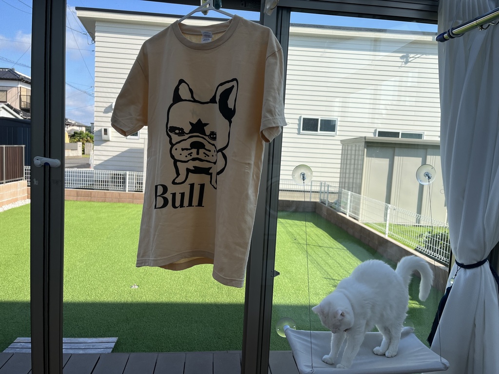 バックプリントBull カラーTシャツ 淡色3色