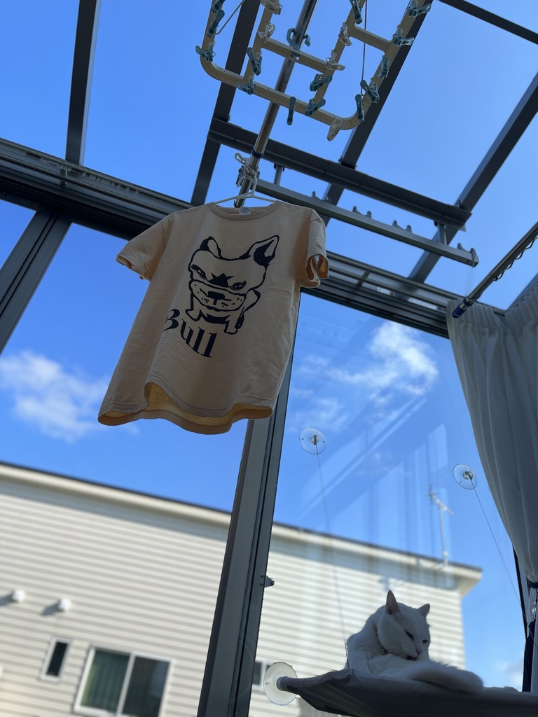 バックプリントBull カラーTシャツ 淡色3色