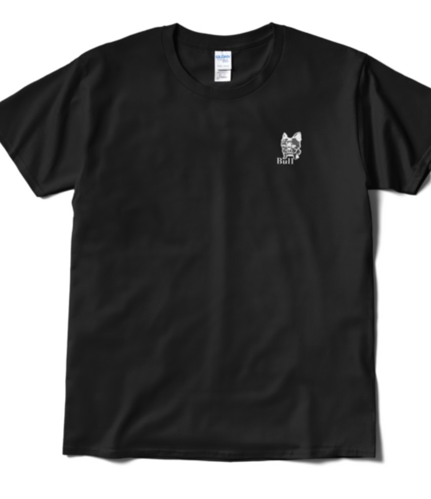 バックプリント2種類メッシュBull胸に小型Bullと胸GEロゴ入り黒Tシャツ