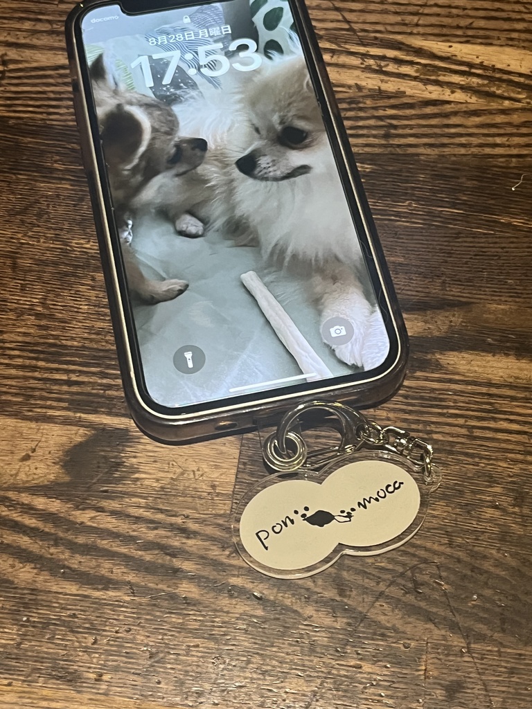 ポンモカキーホルダー50mm