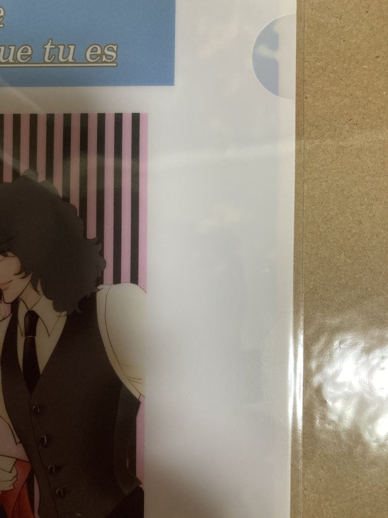 OA クリアファイルA5サイズ5枚組