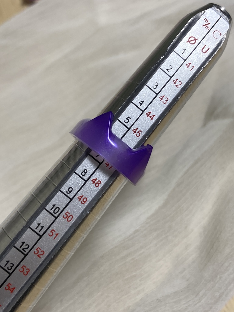 ニキータリング