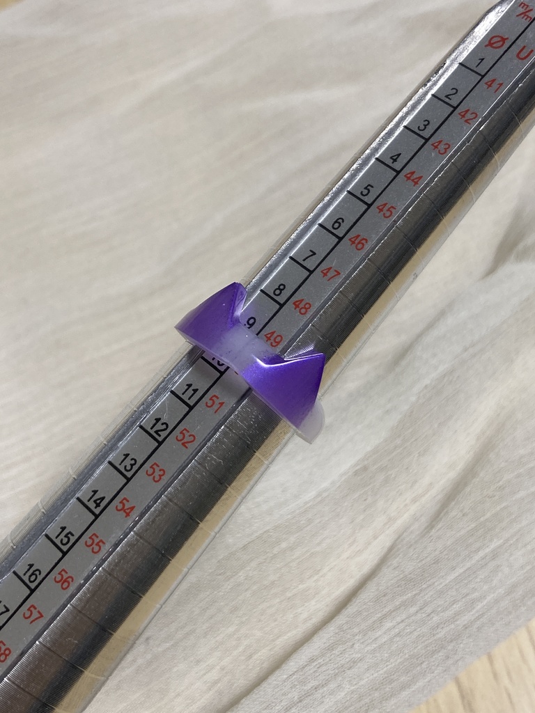 ニキータリング