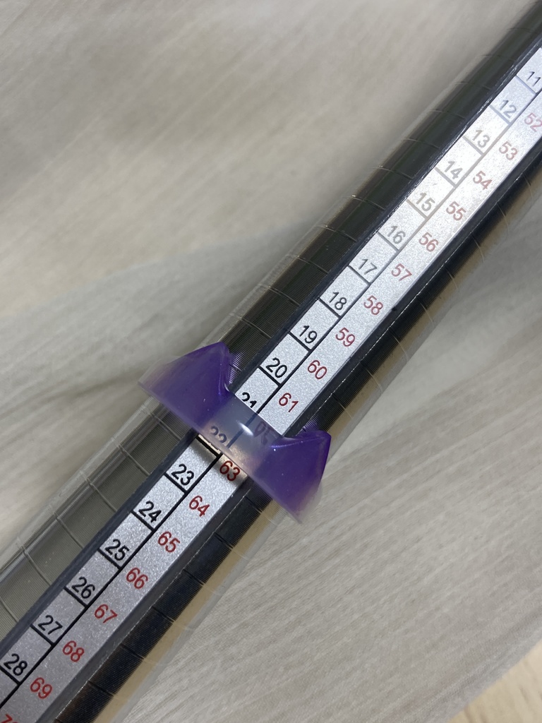 ニキータリング