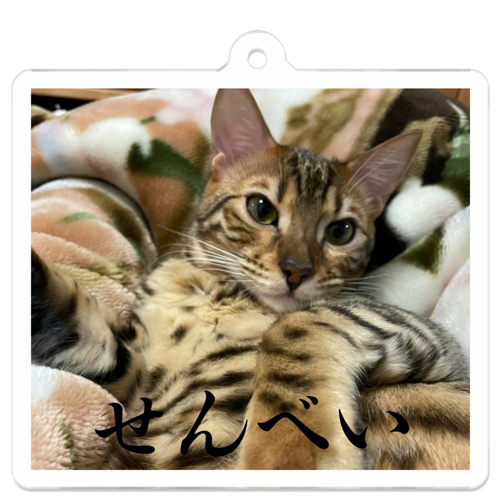 せんべいアクキー