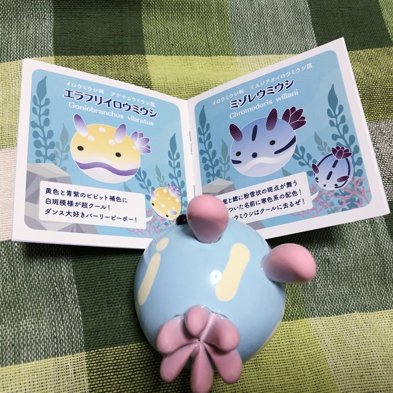 うみうすしの本