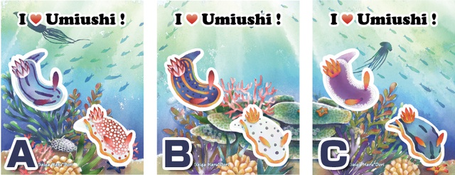 ウミウシふせん 3種