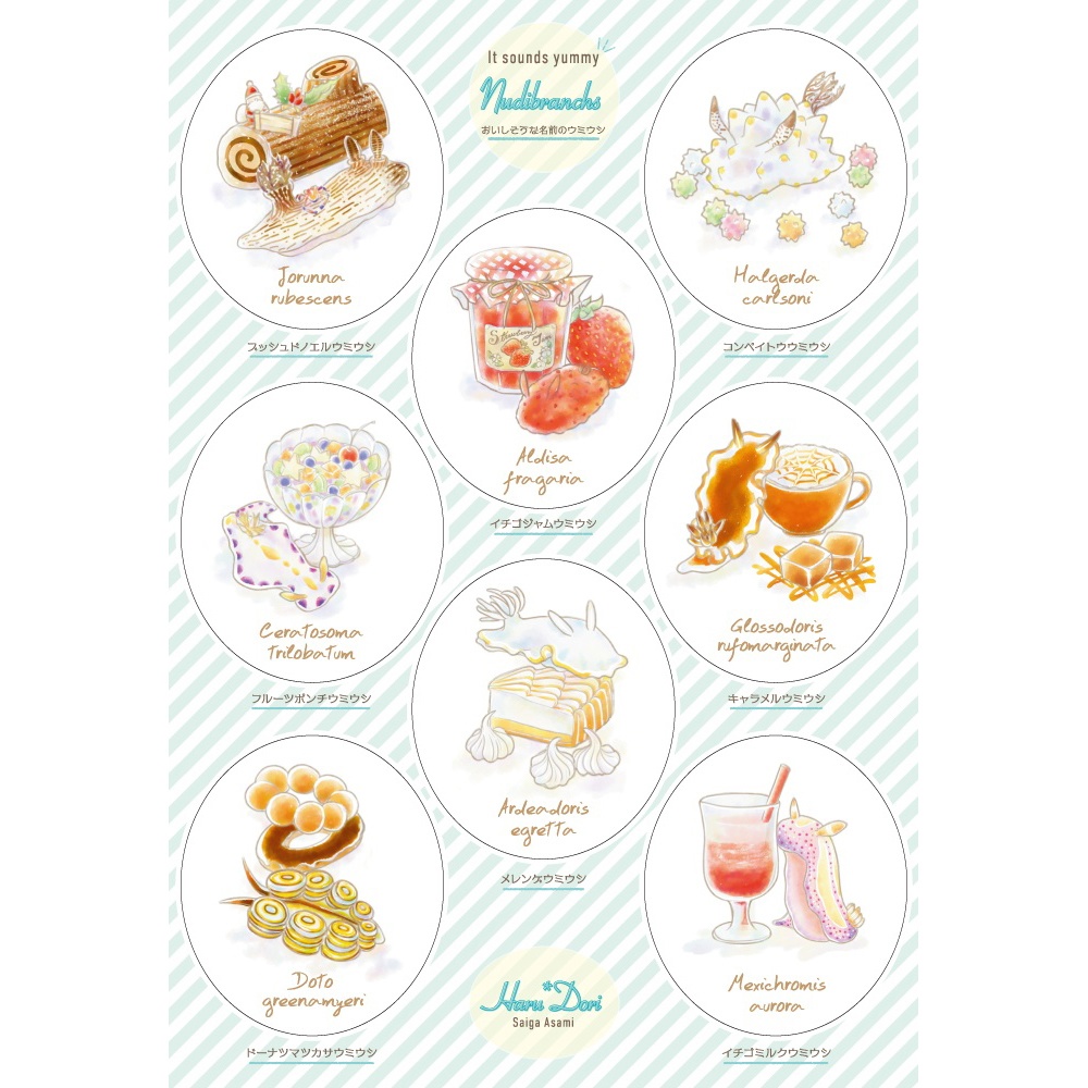 【新作】型抜きトレペシール