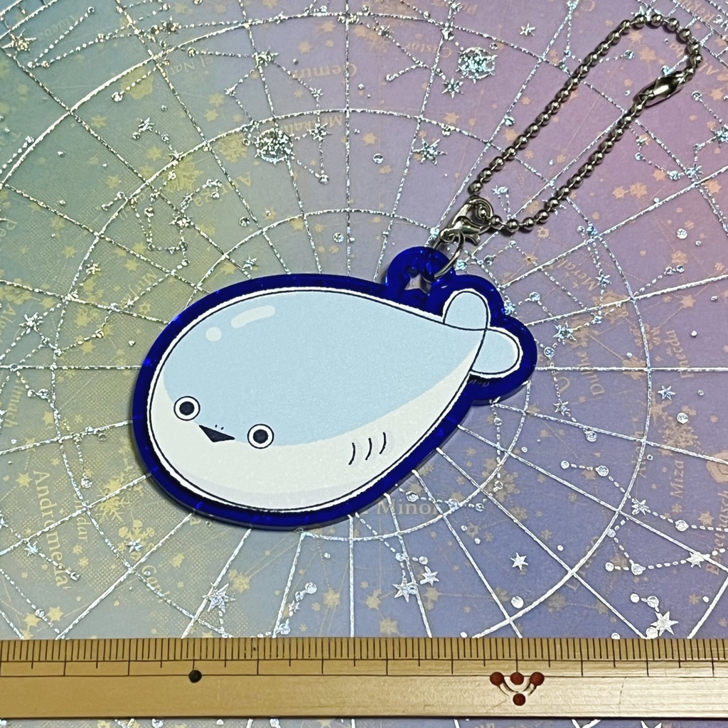 【ラスト1】サカバンバスピスアクキー