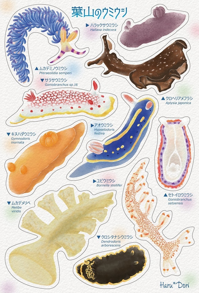 葉山のウミウシシール