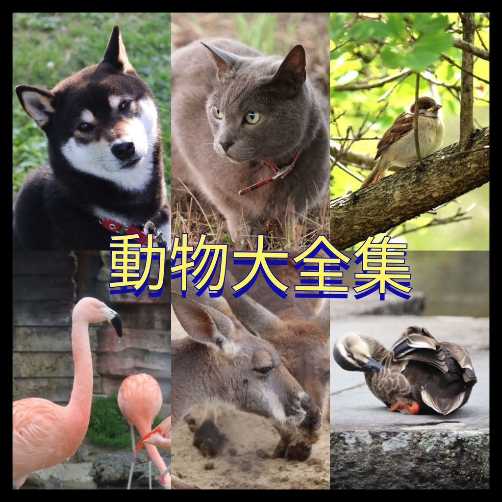可愛い動物達