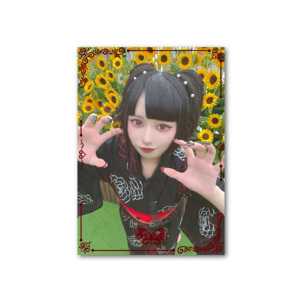御伴蝶②