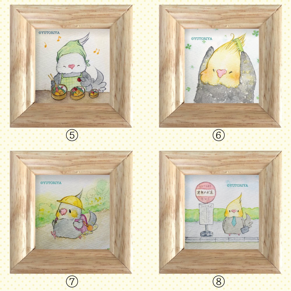 【ミニ原画】オカメインコ⑤～⑧