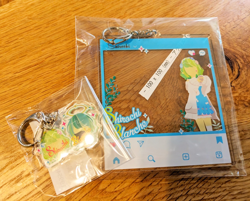 SNS風 シロちフレーム全身(size大)