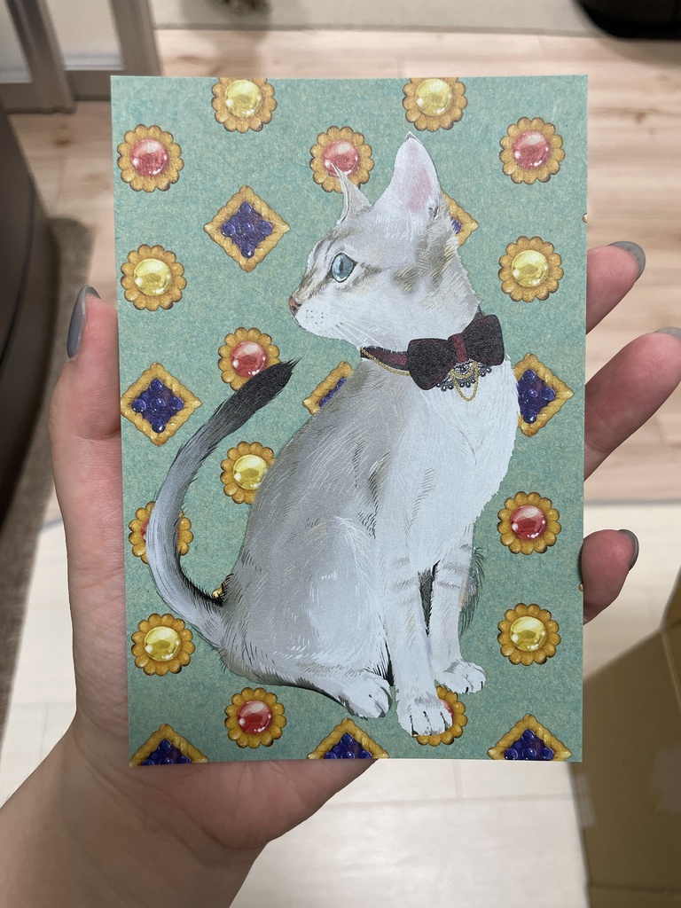 猫ポストカード3枚セット - AK5 - BOOTH