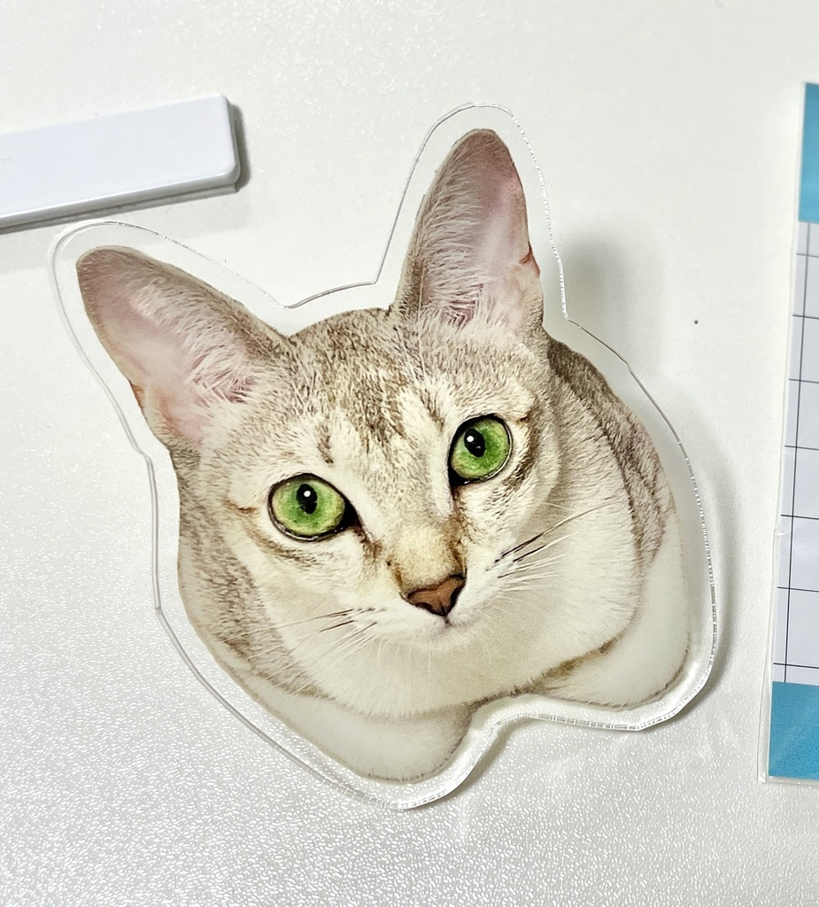 猫によるみまもりクリップ