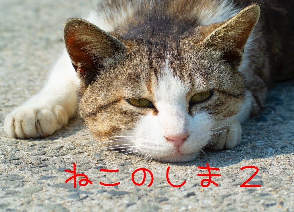 ねこのしま２【写真集】