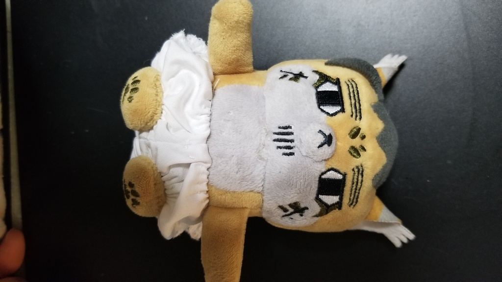 レースぱんつ(第2弾)