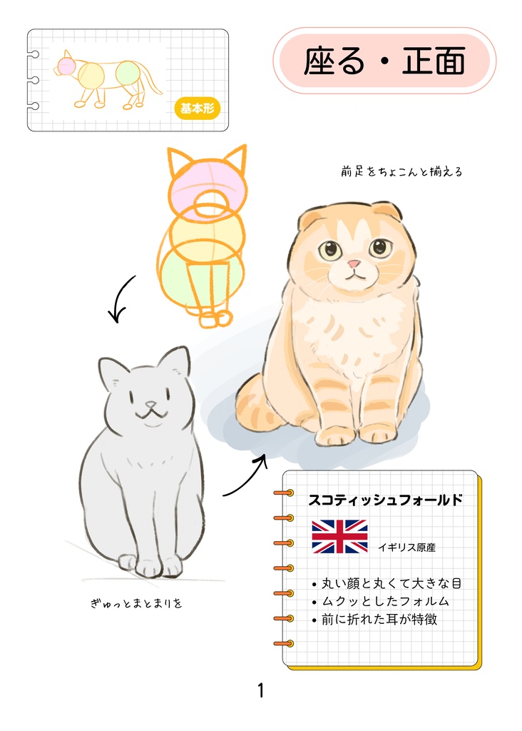 そのまま使える!ねこポーズBOOK 26猫種のイラストポーズ集