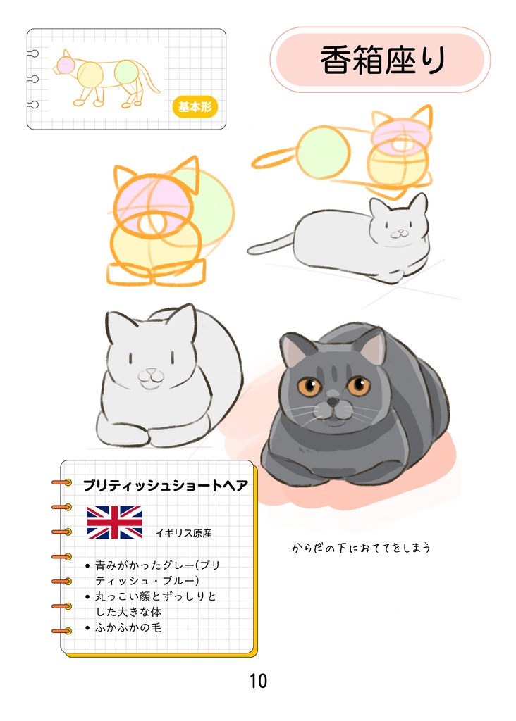 そのまま使える!ねこポーズBOOK 26猫種のイラストポーズ集
