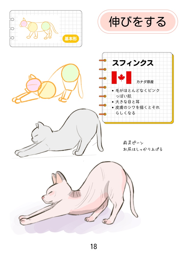 そのまま使える!ねこポーズBOOK 26猫種のイラストポーズ集