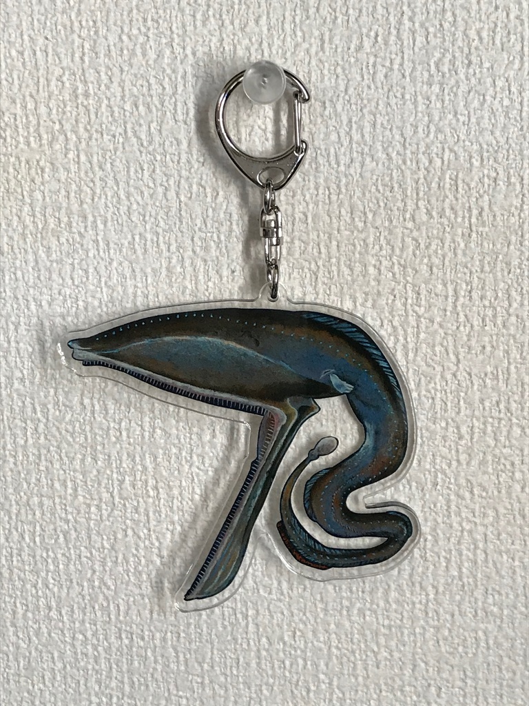 アクリルキーホルダー＜フクロウナギ＞