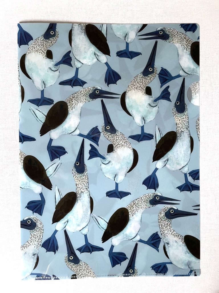 クリアファイル<アオアシカツオドリ>