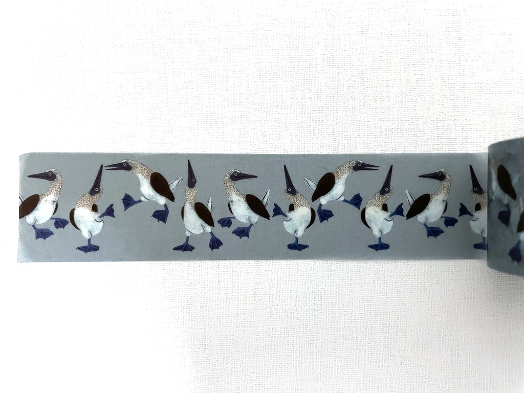 マスキングテープ<アオアシカツオドリ>