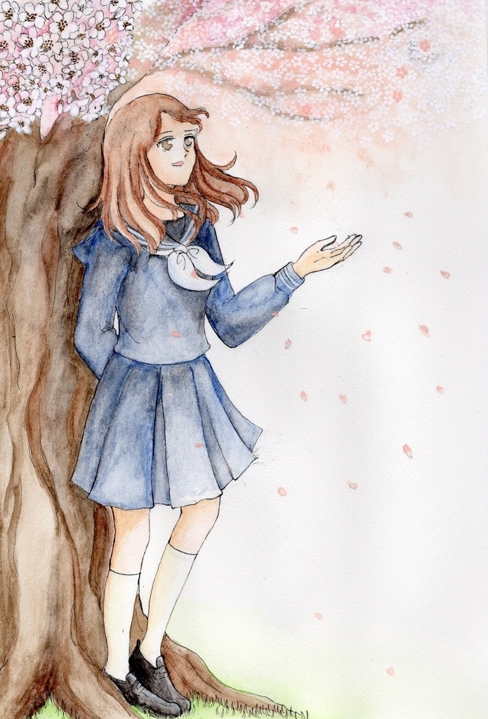 ポストカード　桜