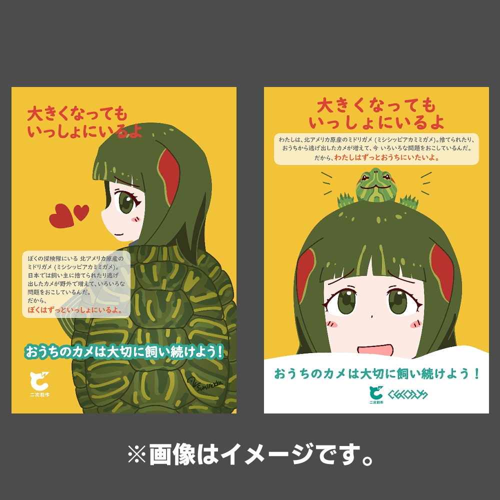 アカミミガメちゃん対策普及啓発ポストカード 2枚セット