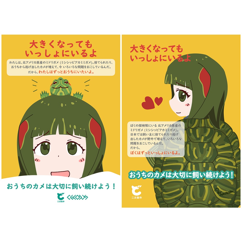 【寄付込】アカミミガメちゃん対策普及啓発ポストカード 2枚セット