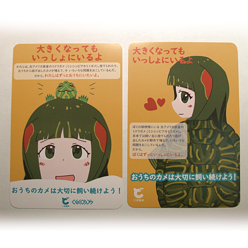 【寄付込】アカミミガメちゃん対策普及啓発ポストカード 2枚セット