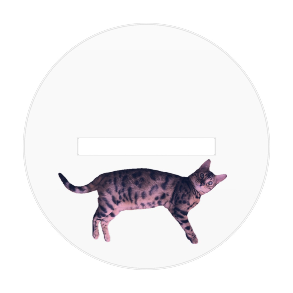 ハロウィンキャット