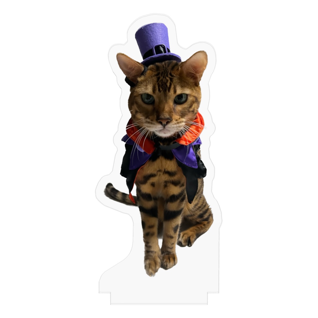 ハロウィンキャット
