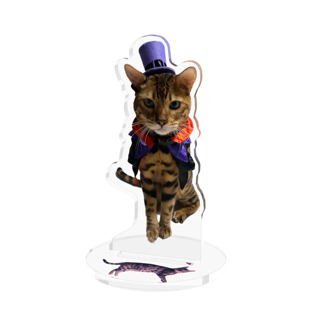 ハロウィンキャット