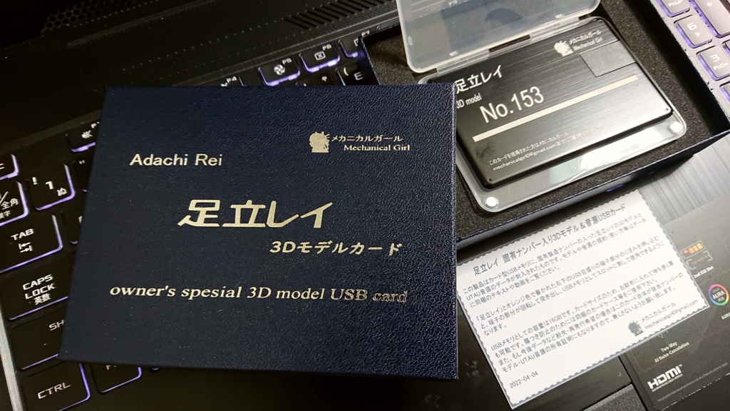 足立レイ 固有ナンバー入り3Dモデル(USBメモリパッケージ版)