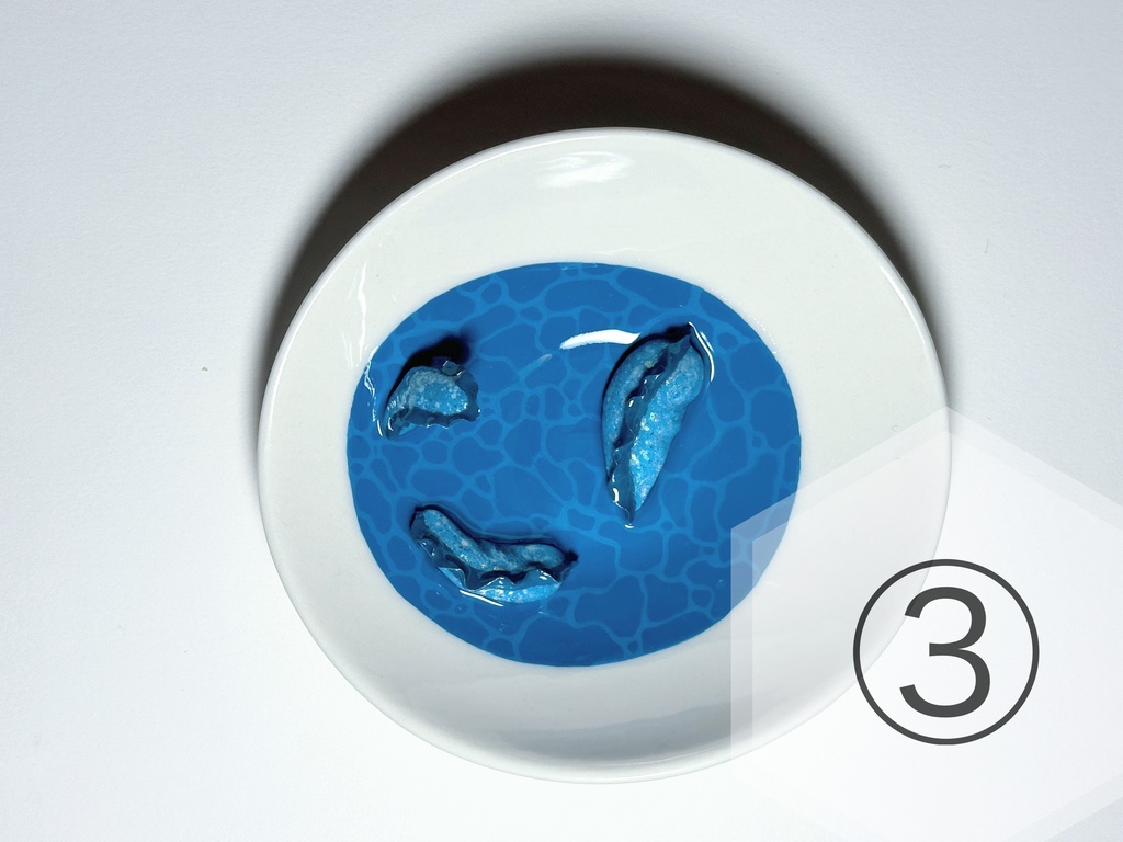 ウツボのアクセサリートレイ