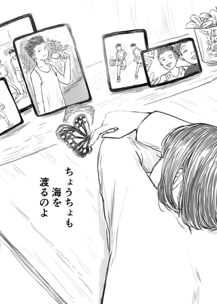 ちょうちょも海を渡るのよ