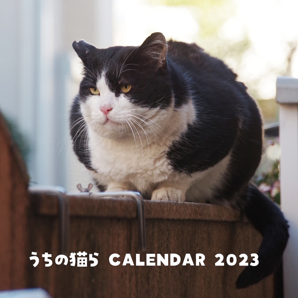 うちの猫らカレンダー2023【PDFデータダウンロード】