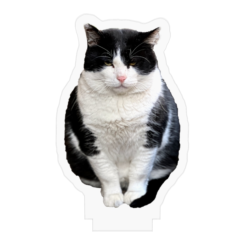 イカスミアクリルスタンド