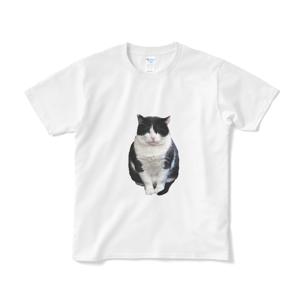 イカスミTシャツ